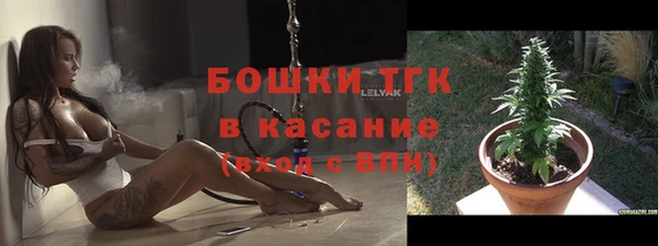 гашик Алзамай
