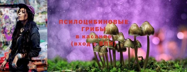 амфетамин Алексин