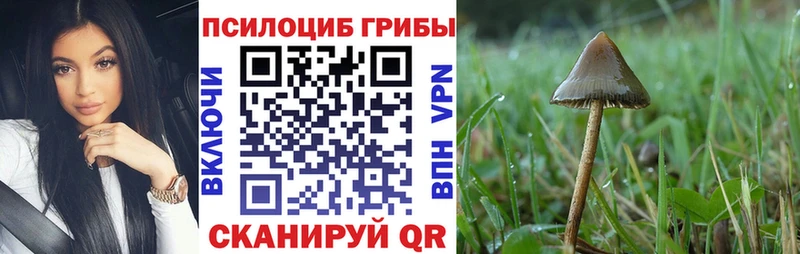 закладки  hydra как войти  Псилоцибиновые грибы прущие грибы  Баймак 